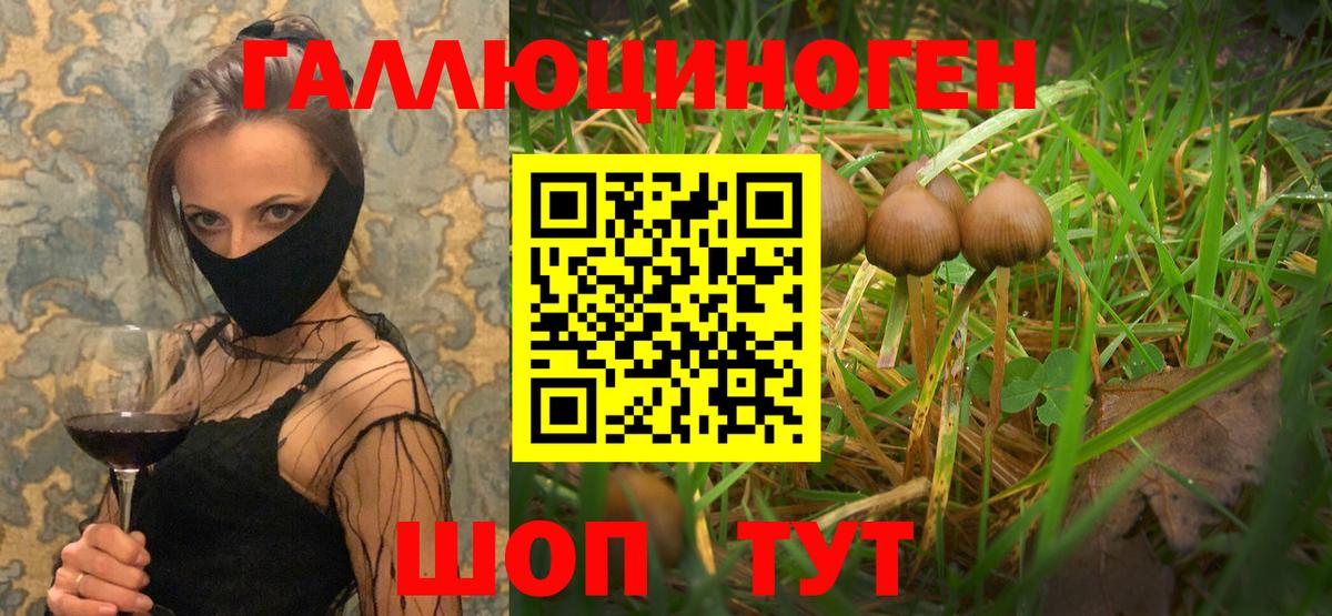 Псилоцибиновые грибы прущие грибы  Псилоцибиновые грибы Magic Shrooms  Сатка  Вход с VPN 
