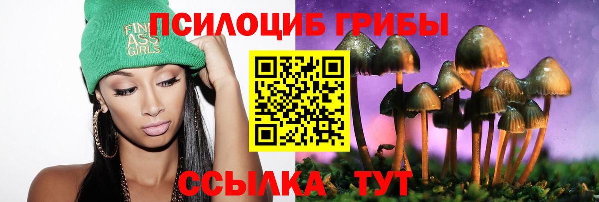 Псилоцибиновые грибы Cubensis Сатка